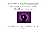 Behavioral Neuropsychology: Behavioral Treatment for  the Brain-Injured
