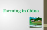 Farming in China