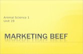 Marketing Beef