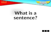 What is a sentence?