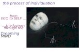 the process of individuation