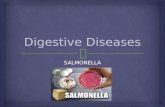 Digestive  Diseases