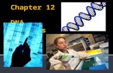 Chapter 12  DNA Analysis