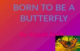 BORN TO BE A BUTTERFLY
