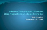 Effects of Dam-Induced Daily River Stage Fluctuations on a Large Gravel Bar