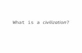 What is a  civilization ?