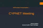 ARTiculate  Presentation –  CYPNET Meeting
