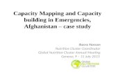 Capacity  Mapping and Capacity building in Emergencies, Afghanistan – case study