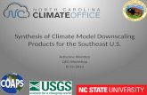 Synthesis of Climate Model Downscaling Products for the  Southeast U.S.