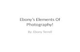 Ebony’s Elements Of Photography!