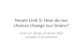 Neuro  Unit 5: How do our choices change our brains?