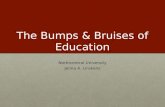 The Bumps & Bruises of Education