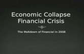 Economic Collapse  Financial Crisis