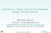 Enabling Cloud and Grid Powered Image  Phenotyping