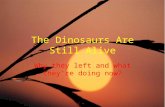 The Dinosaurs Are Still Alive