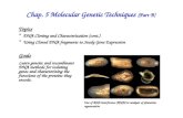 Chap. 5 Molecular Genetic Techniques  (Part B)