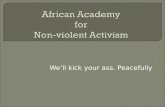 African Academy  for  Non-violent Activism