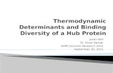Thermodynamic Determinants and Binding Diversity of a Hub Protein