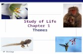 Study of Life Chapter 1  Themes