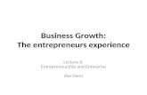 Business Growth: The entrepreneurs experience