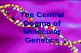 The Central Dogma of Molecular Genetics