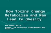 How Toxins Change Metabolism and May Lead to Obesity