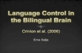 Language Control in the Bilingual Brain