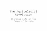 The Agricultural  R evolution