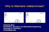Why Is Alternans Indeterminate?