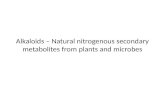 Alkaloids – Natural nitrogenous secondary metabolites from  plants and microbes