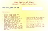One Grain of Rice Interactive Vocabulary PowerPoint