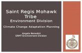 Saint Regis Mohawk Tribe  Environment Division