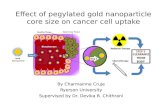 Effect of  pegylated  gold  nanoparticle core  size on cancer cell  uptake