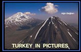 TURKEY  IN  PICTURES