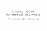 Finance 30210: Managerial Economics