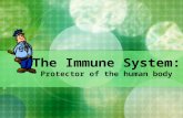 The Immune System: Protector of the human body