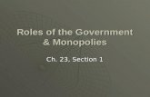 Roles of the Government & Monopolies