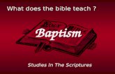What does the bible teach ?