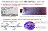 Structure and Dynamics of Soft Matter Systems