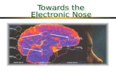 Towards the Electronic Nose