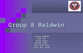 Group 8 Baldwin