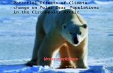 Potential Effects of Climate-change on Polar Bear Populations in the Circumpolar Arctic