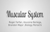Roger Farfan, Azucena Noriega, Brandon Major ,Biology Period 6
