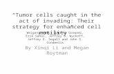 “Tumor cells  c aught in the act of invading: Their strategy for enhanced cell motility”