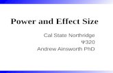 Cal State Northridge  320 Andrew Ainsworth PhD