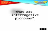 What are  interrogative pronouns?