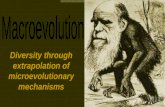 Diversity through extrapolation of  microevolutionary  mechanisms
