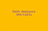 Path Analysis SAS/ Calis