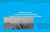 CEDAW State Party  Commitments Implementation: Insights on the UN comparative advantages