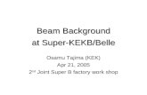Beam Background at Super-KEKB/Belle